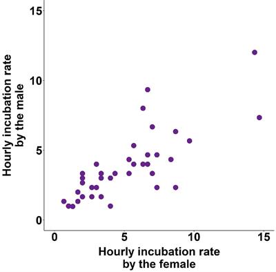 Genetic and <mark class="highlighted">Social Transmission</mark> of Parental Sex Roles in Zebra Finch Families